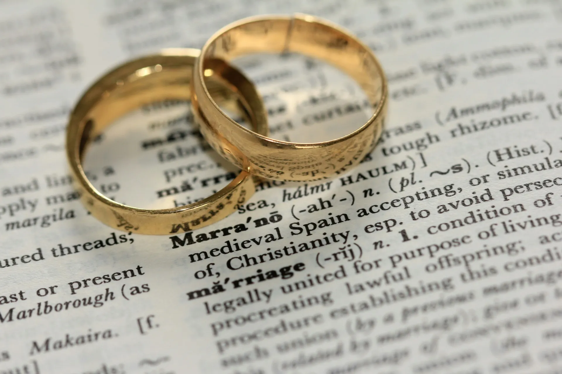 Open book with rings — commitment and lifelong learning