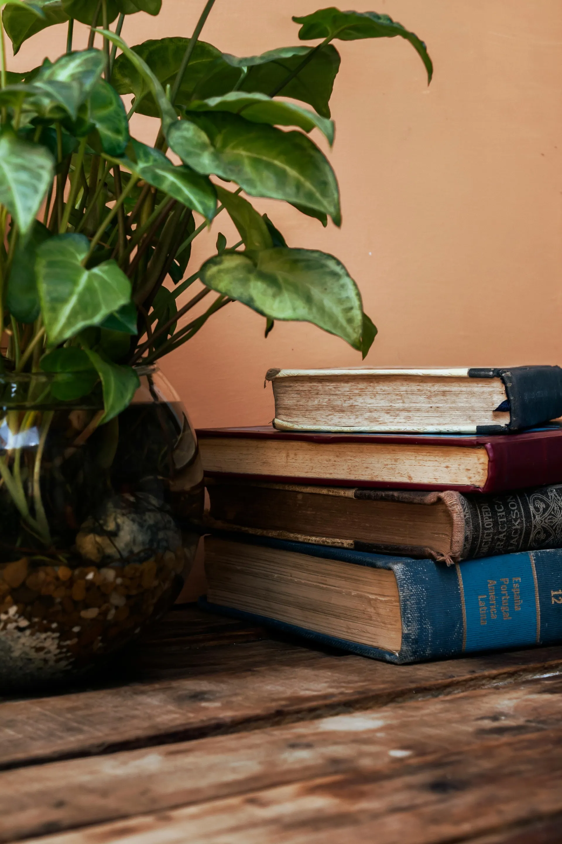 Couple reading together — shared learning